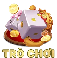 Kiểm Tra Thực Tế